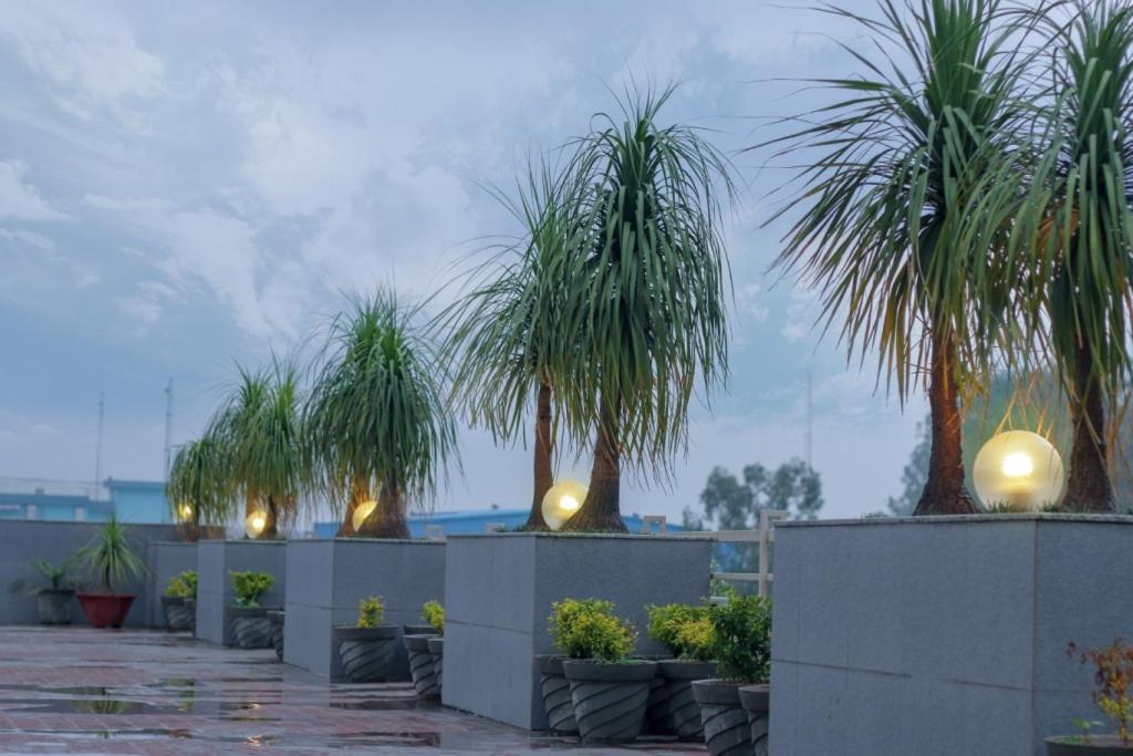 Mg Regency Hotel Baddi Ngoại thất bức ảnh