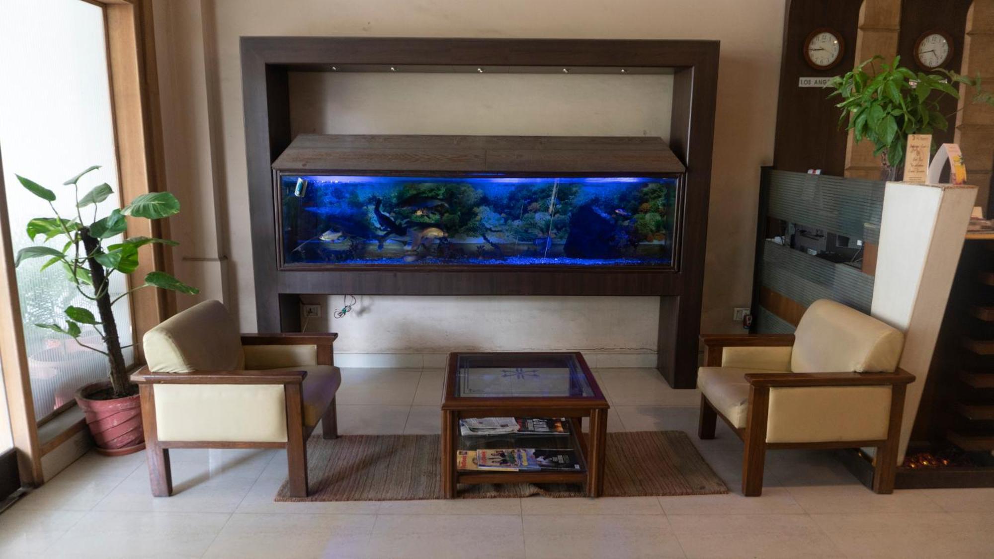 Mg Regency Hotel Baddi Ngoại thất bức ảnh